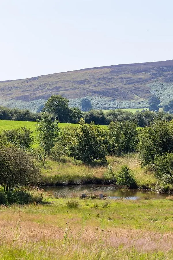 Holiday home Pond Cottage Rosedale Abbey United Kingdom